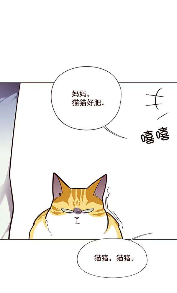 觉醒吧，铲屎官！55话