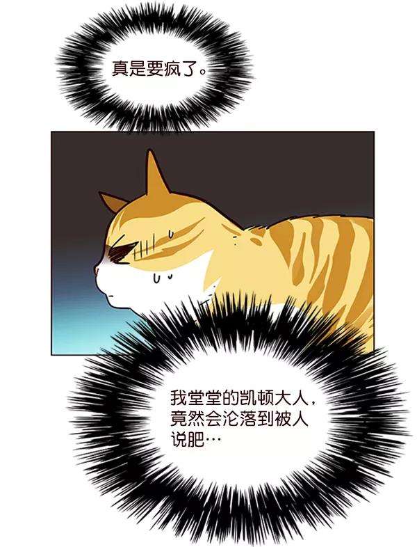 觉醒吧，铲屎官！55话