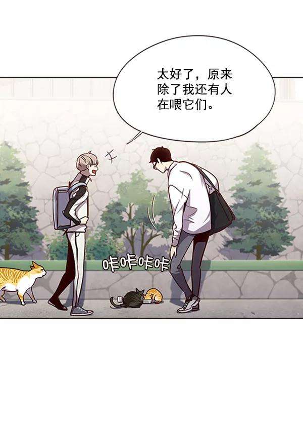 觉醒吧，铲屎官！55话