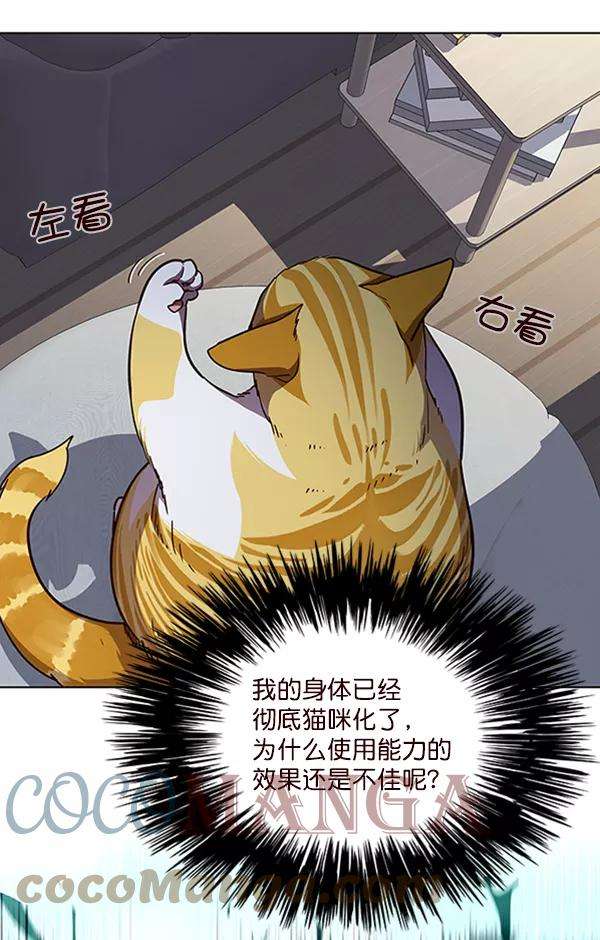 觉醒吧，铲屎官！55话