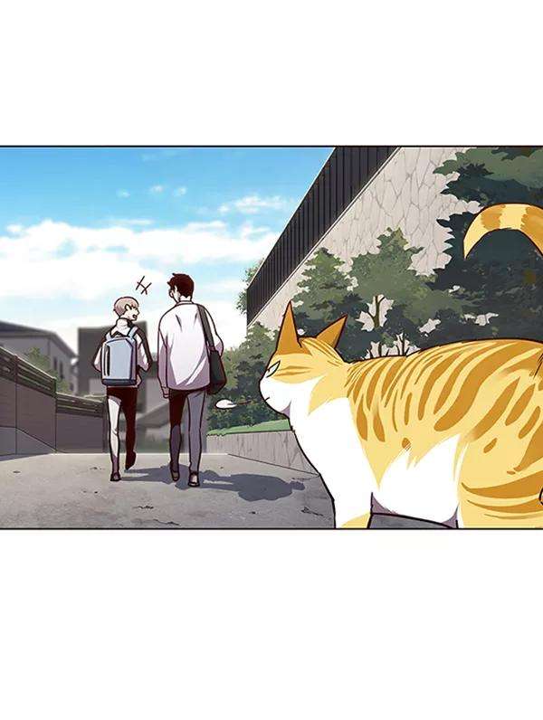 觉醒吧，铲屎官！55话