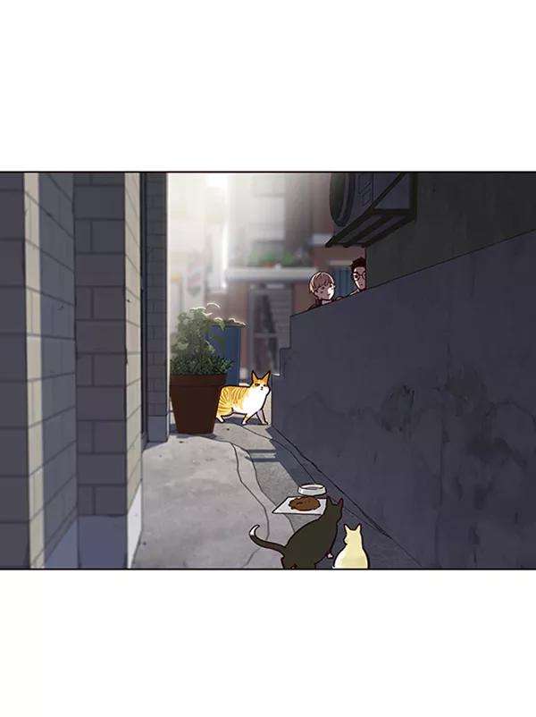 觉醒吧，铲屎官！55话
