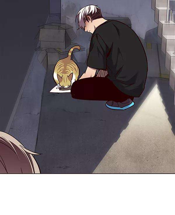觉醒吧，铲屎官！55话