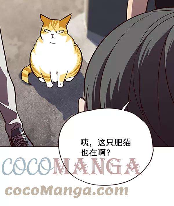 觉醒吧，铲屎官！55话
