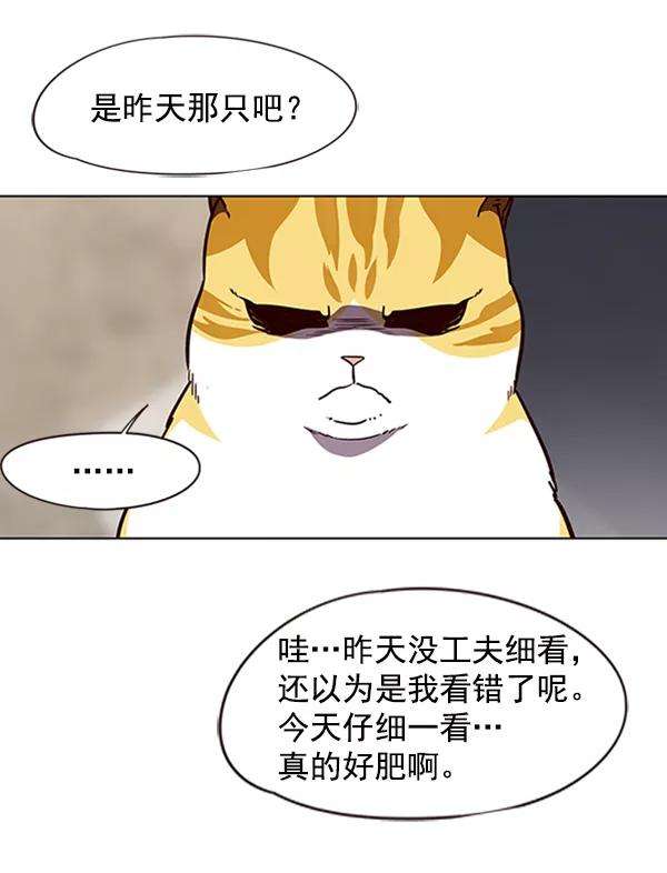 觉醒吧，铲屎官！55话