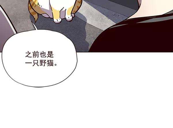 觉醒吧，铲屎官！55话