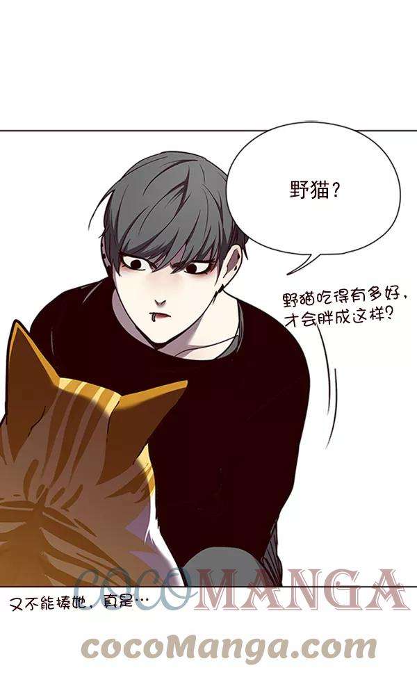 觉醒吧，铲屎官！55话
