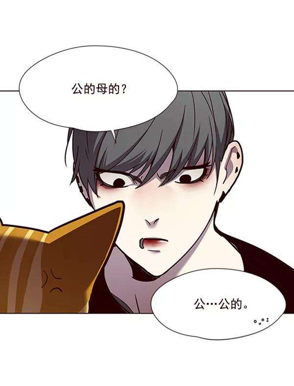 觉醒吧，铲屎官！55话