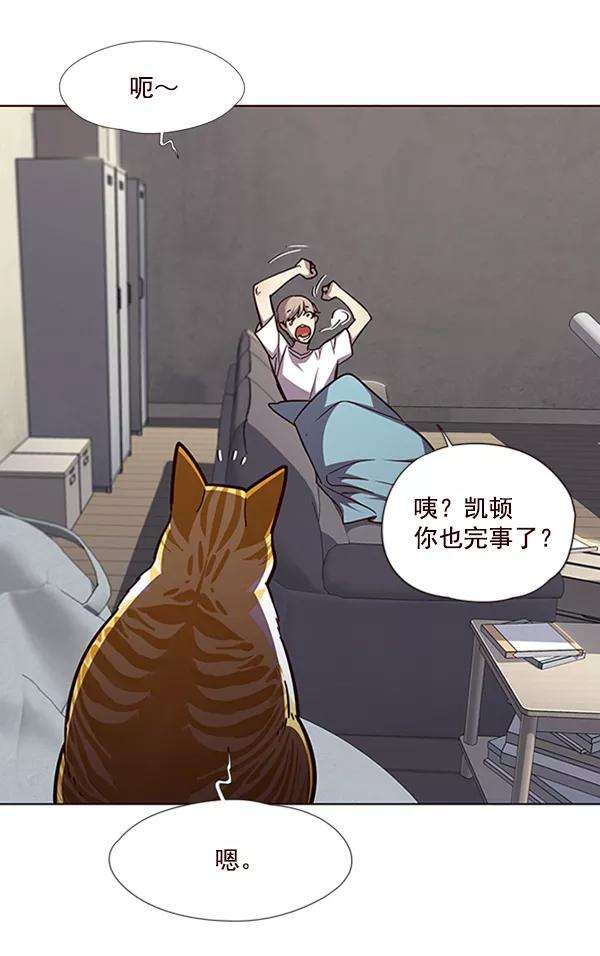 觉醒吧，铲屎官！55话