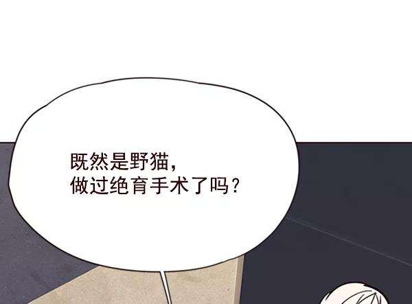 觉醒吧，铲屎官！55话