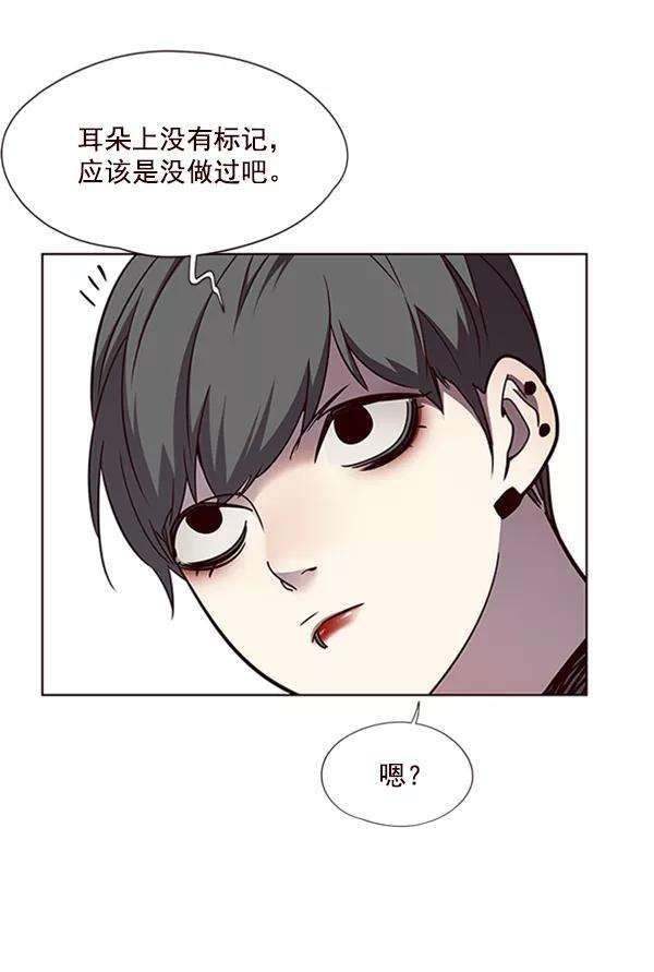 觉醒吧，铲屎官！55话