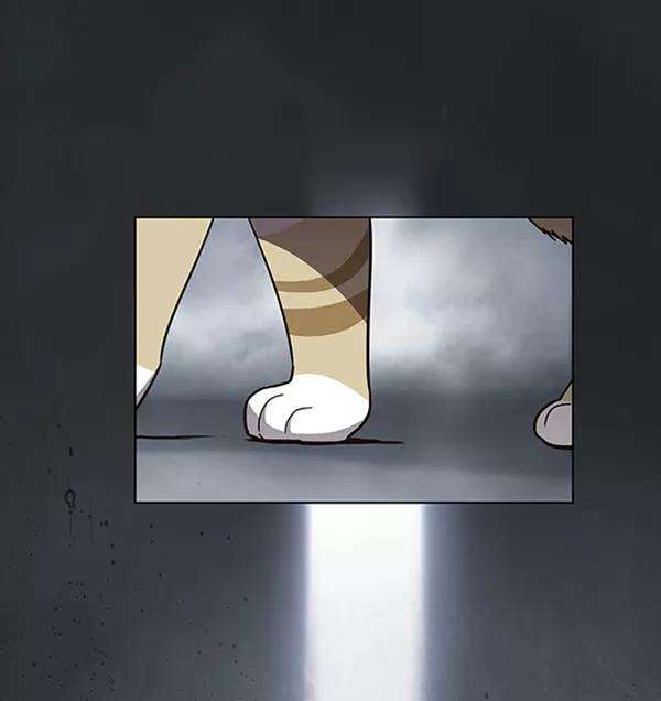 觉醒吧，铲屎官！56话