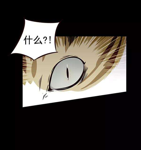 觉醒吧，铲屎官！56话