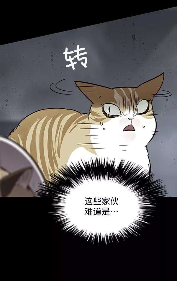 觉醒吧，铲屎官！56话