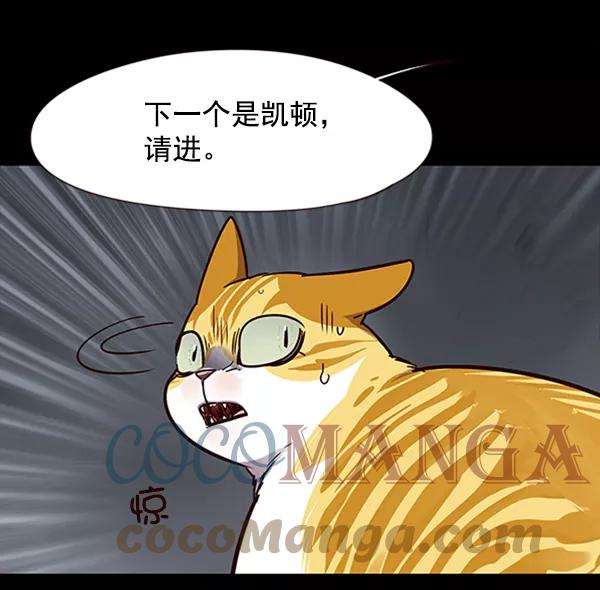 觉醒吧，铲屎官！56话