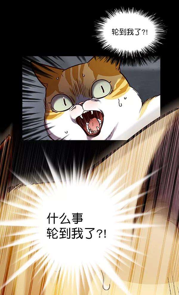 觉醒吧，铲屎官！56话