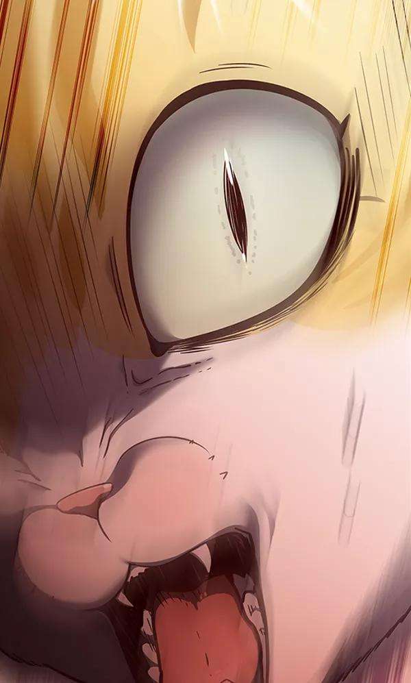 觉醒吧，铲屎官！56话