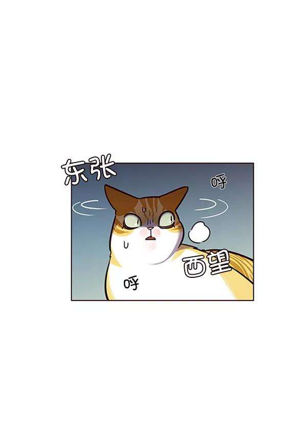 觉醒吧，铲屎官！56话