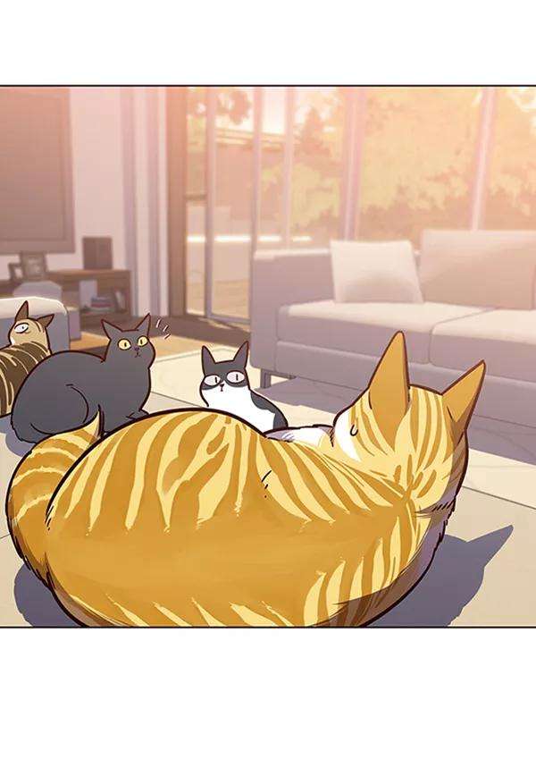 觉醒吧，铲屎官！56话