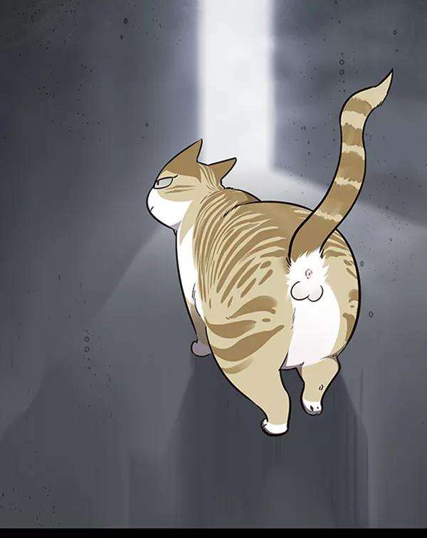 觉醒吧，铲屎官！56话