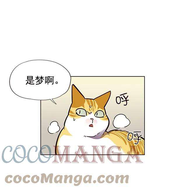 觉醒吧，铲屎官！56话