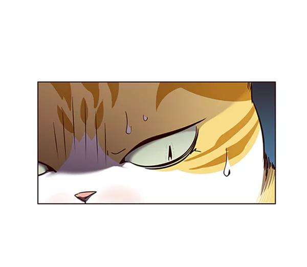 觉醒吧，铲屎官！56话