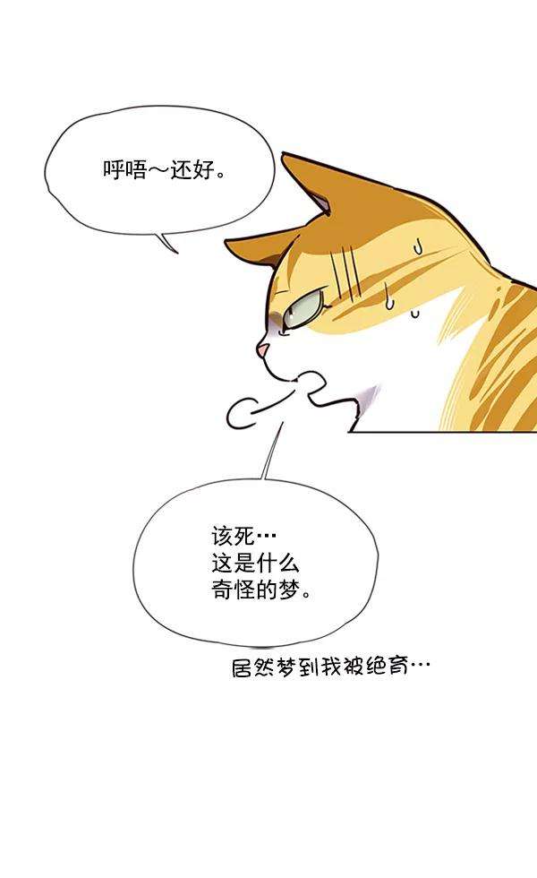 觉醒吧，铲屎官！56话