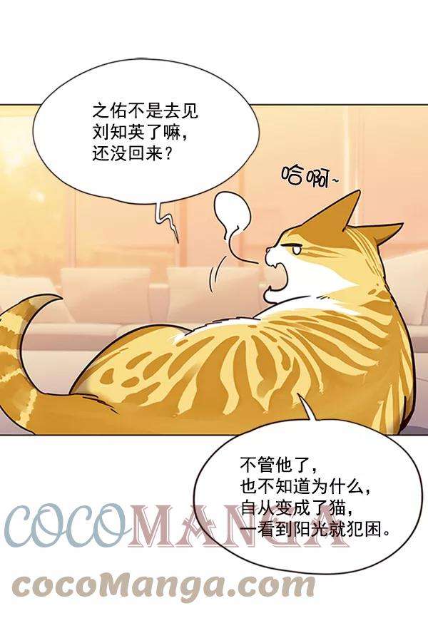 觉醒吧，铲屎官！56话