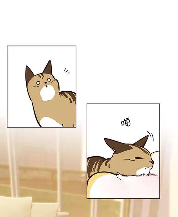 觉醒吧，铲屎官！56话