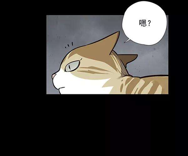 觉醒吧，铲屎官！56话