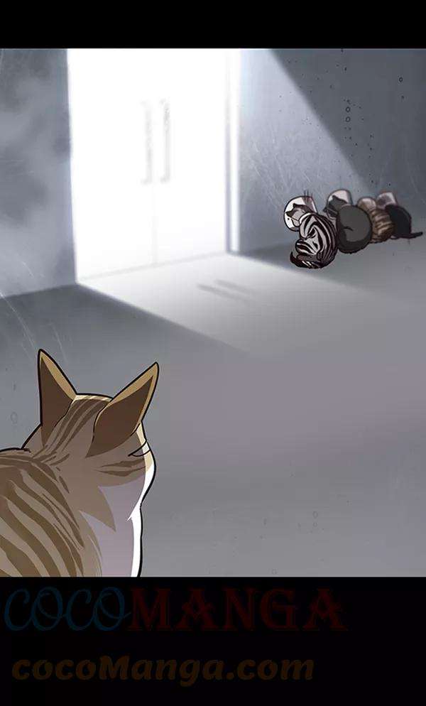 觉醒吧，铲屎官！56话