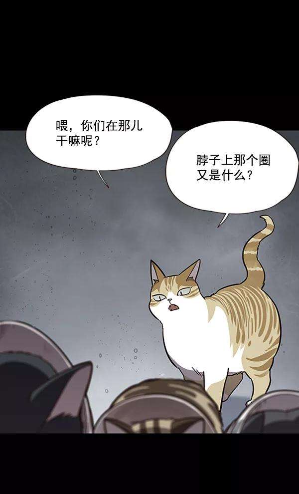 觉醒吧，铲屎官！56话