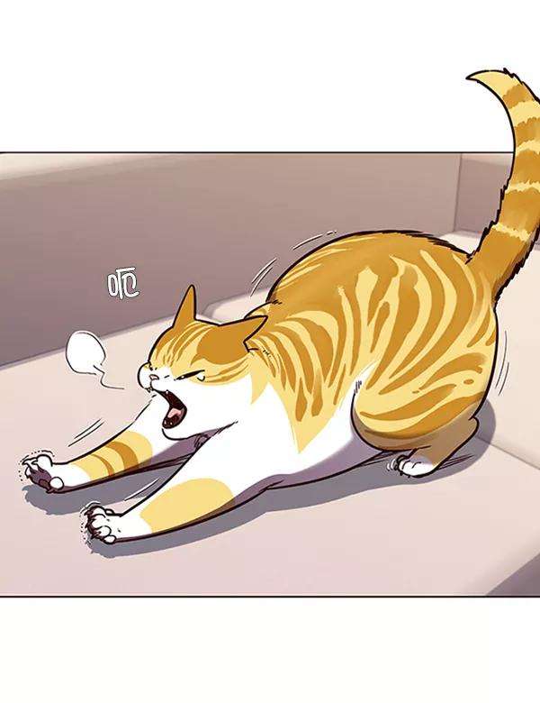 觉醒吧，铲屎官！56话