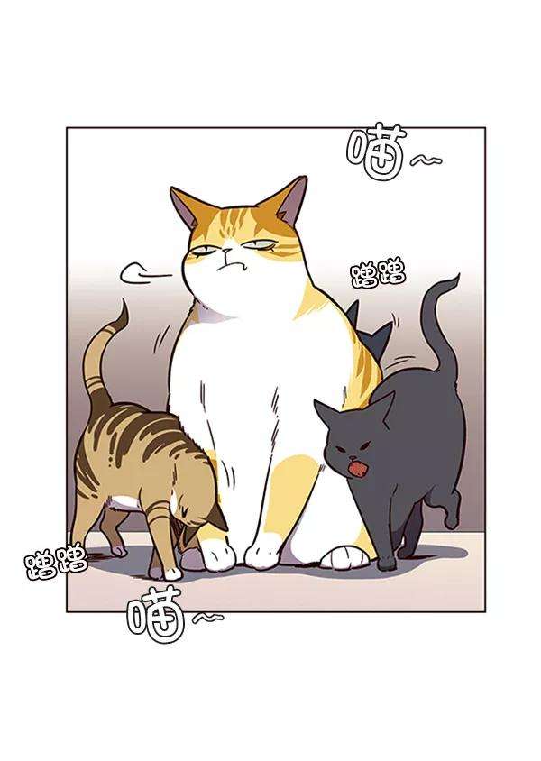 觉醒吧，铲屎官！56话