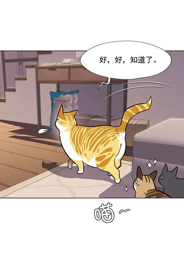 觉醒吧，铲屎官！56话