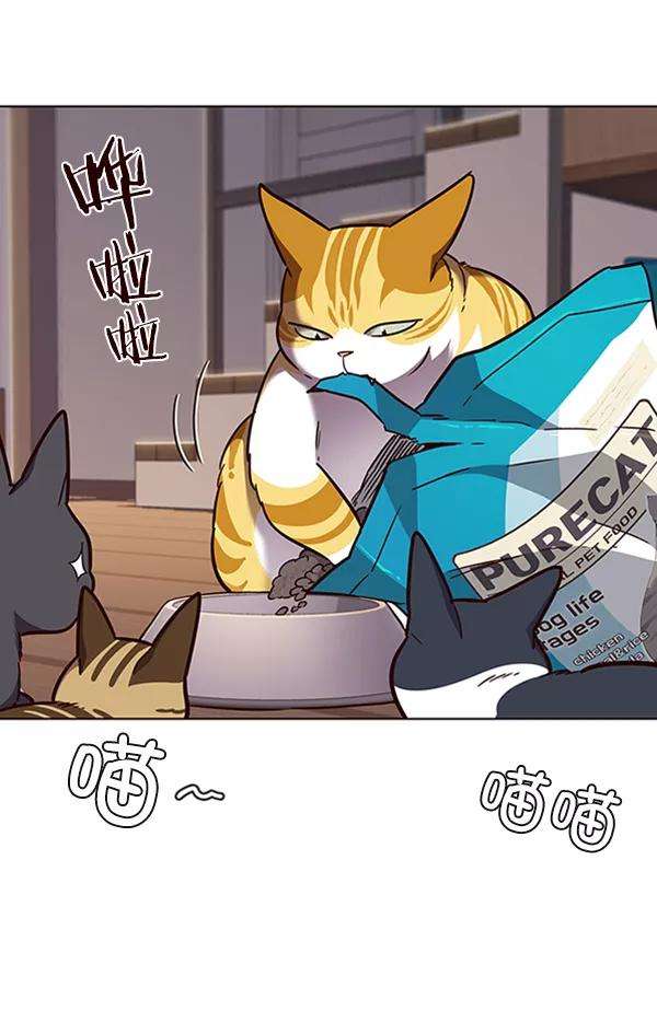 觉醒吧，铲屎官！56话