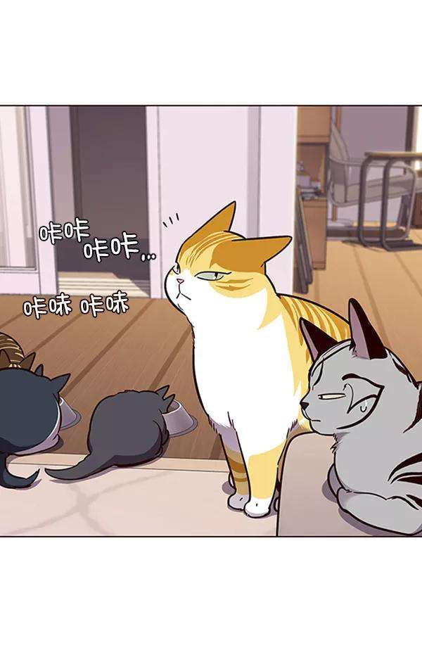 觉醒吧，铲屎官！56话