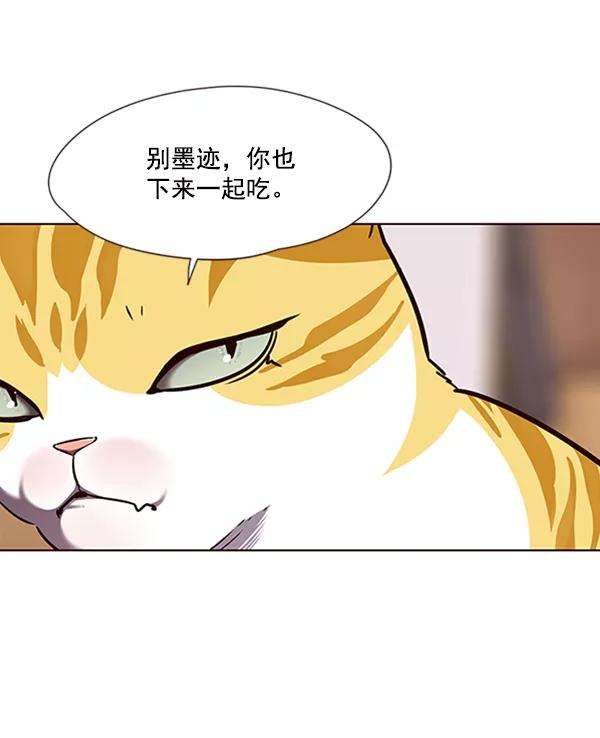 觉醒吧，铲屎官！56话