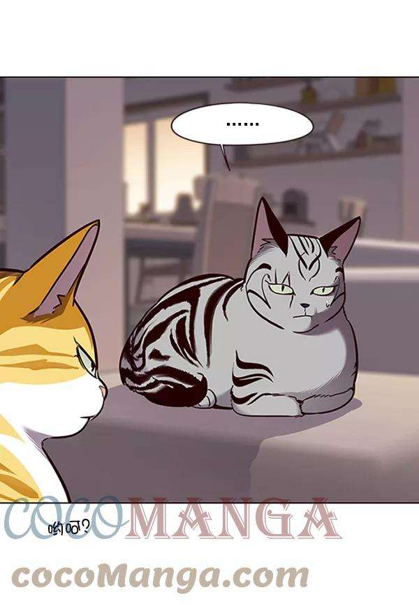 觉醒吧，铲屎官！56话