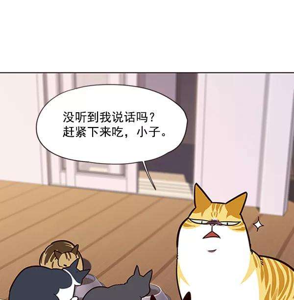 觉醒吧，铲屎官！56话