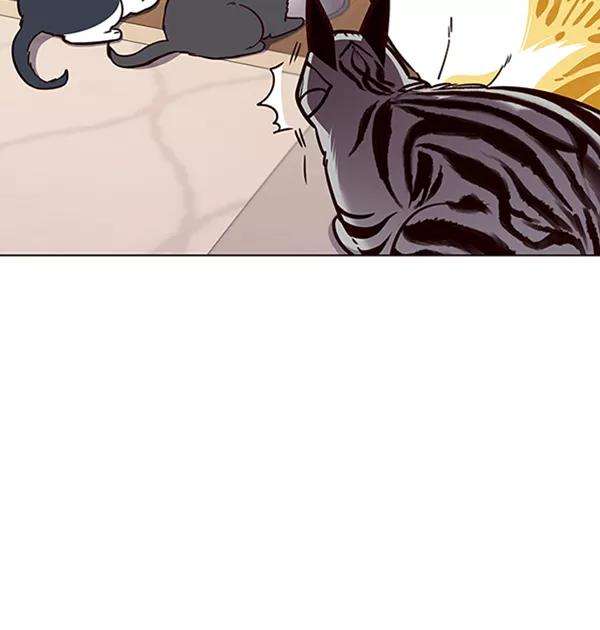 觉醒吧，铲屎官！56话