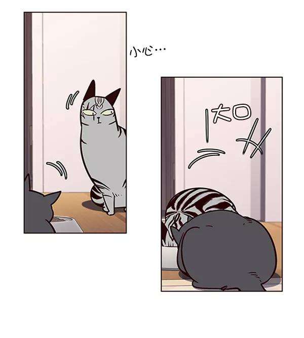 觉醒吧，铲屎官！56话