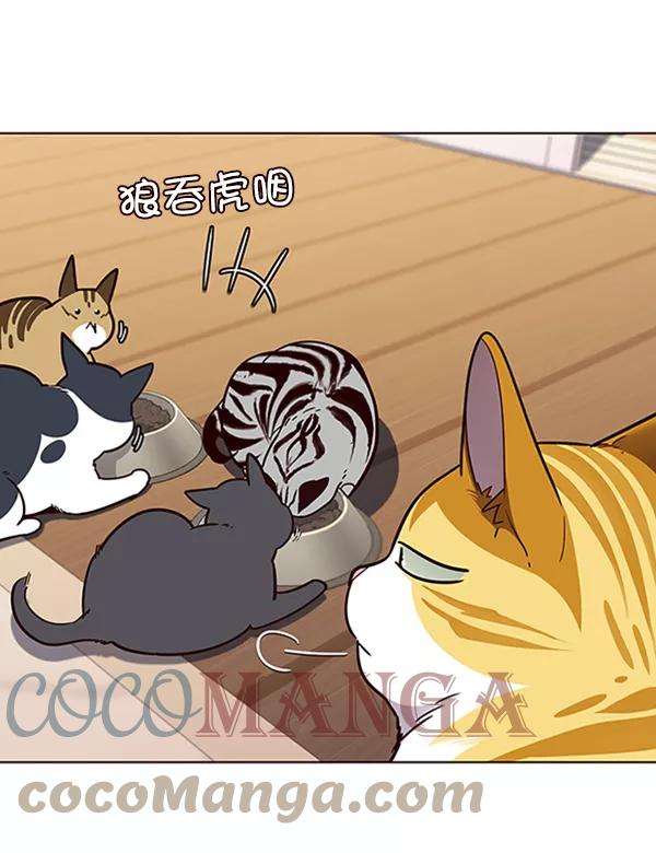 觉醒吧，铲屎官！56话