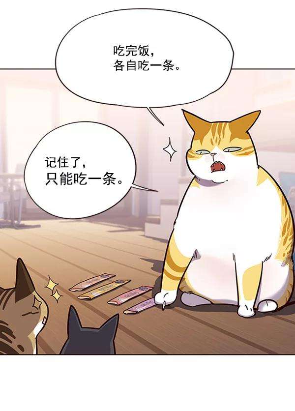 觉醒吧，铲屎官！56话