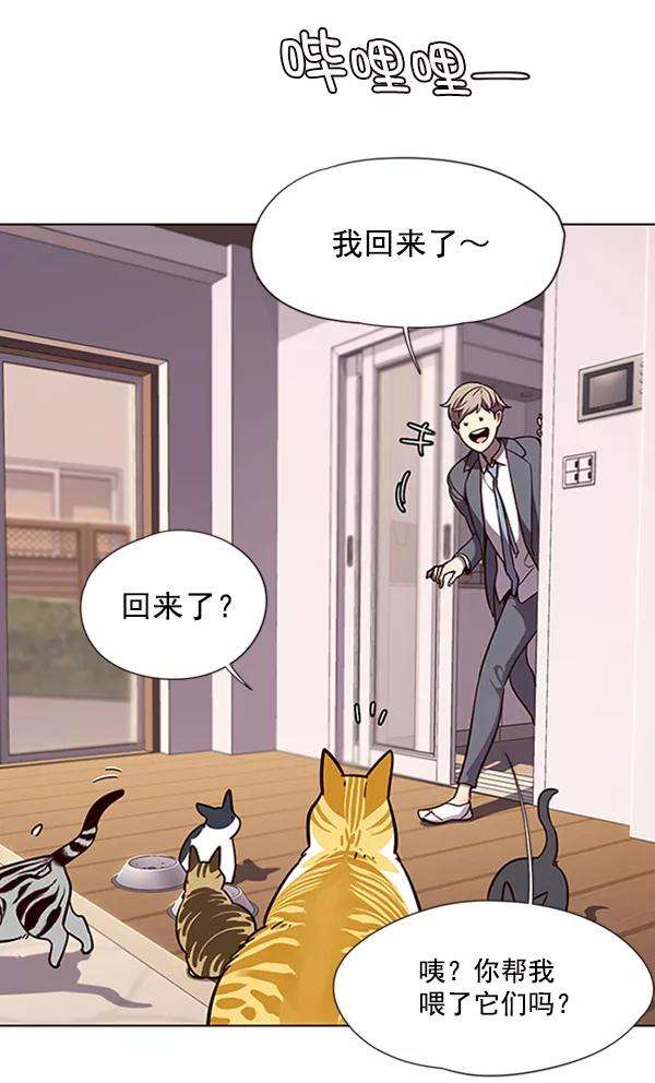 觉醒吧，铲屎官！56话