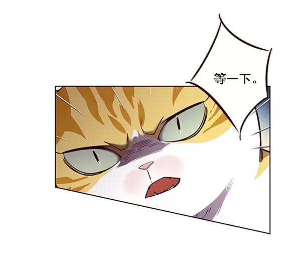 觉醒吧，铲屎官！56话