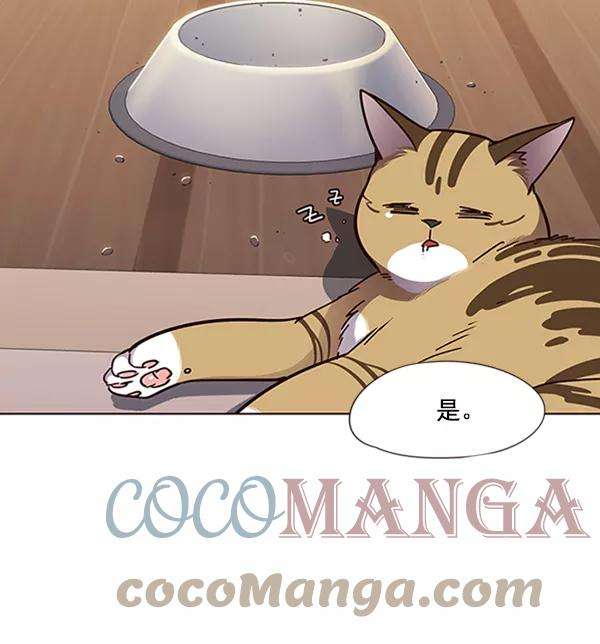 觉醒吧，铲屎官！56话