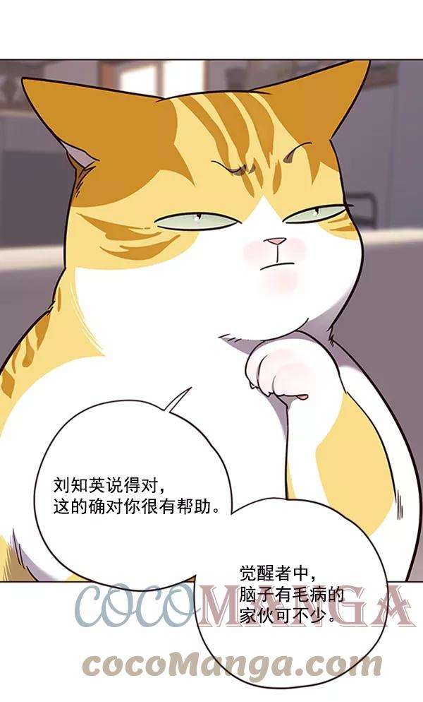 觉醒吧，铲屎官！56话