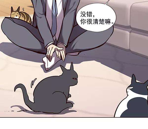 觉醒吧，铲屎官！56话