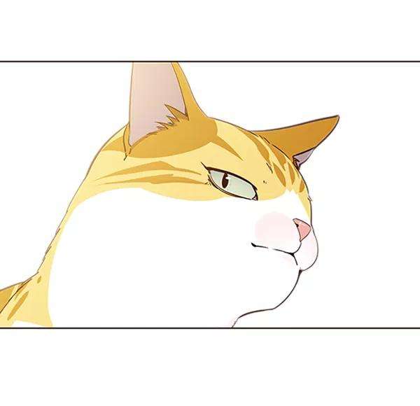 觉醒吧，铲屎官！56话